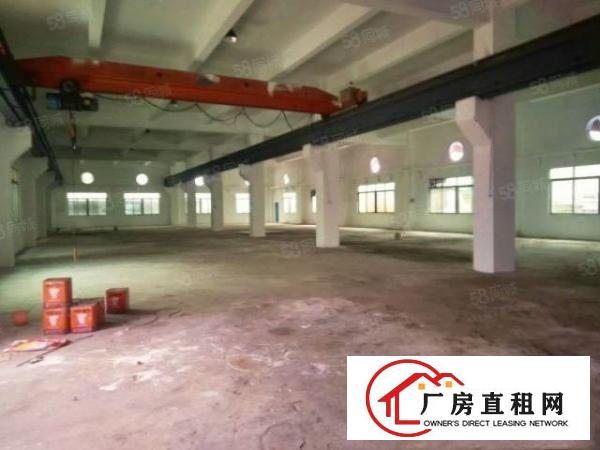  石碣刘屋独门独院单一层厂房2800方（原房东无公摊）