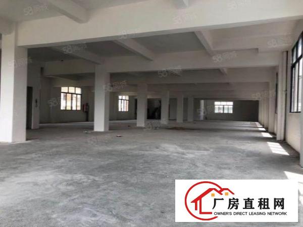  非中介，石碣滨江东路近马路独栋独园厂房