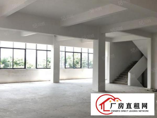  非中介，石碣滨江东路近马路独栋独园厂房
