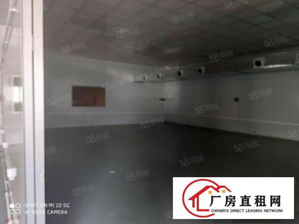  石碣新出原房东独门独院一层厂房全新装修带吊顶位置好可办环评