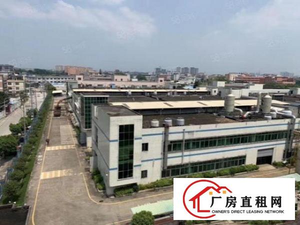  石碣业主标准工业区厂房出租一楼8700方，二楼6000方。