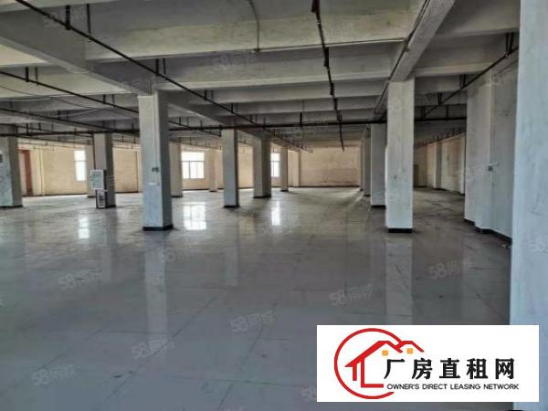  石碣业主标准工业区厂房出租一楼8700方，二楼6000方。