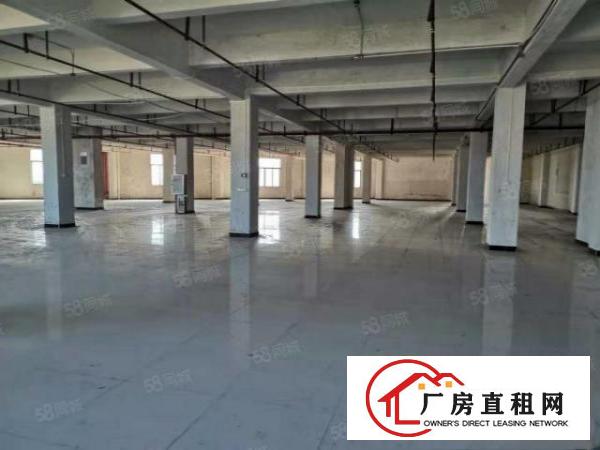  石碣业主标准工业区厂房出租一楼8700方，二楼6000方。