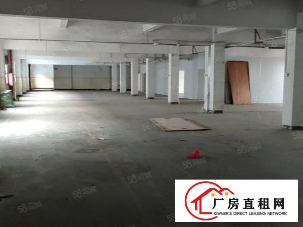  石碣租客分租二楼1100平方独门独院厂房