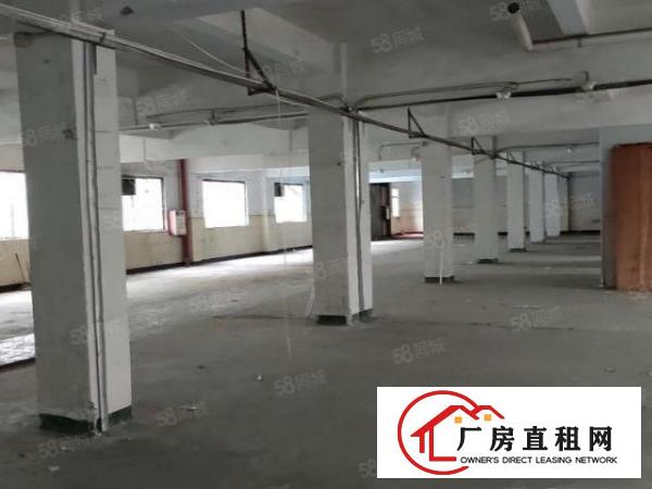  石碣租客分租二楼1100平方独门独院厂房