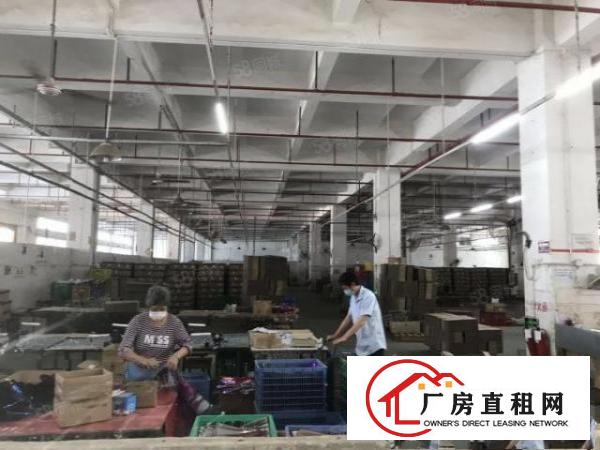  原房东独院4层10000平米,可分租带消防喷淋工业用地