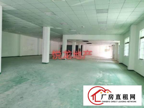  石碣沙腰标准厂房一楼1200方（现成装修水电齐全）