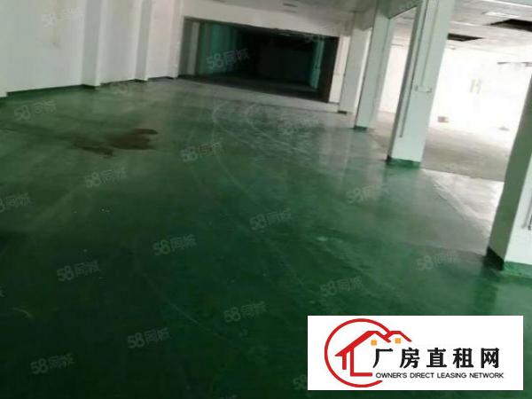  石碣沙腰标准厂房一楼1200方（现成装修水电齐全）