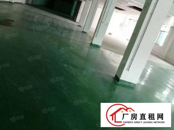  石碣沙腰标准厂房一楼1200方（现成装修水电齐全）
