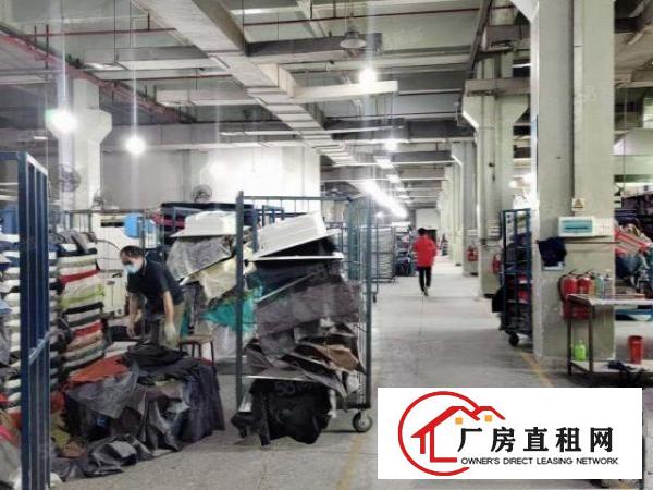  刘屋甲塘工业区独院标准厂房招商