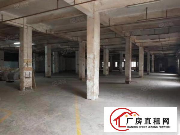  石碣环城路外，工业区里一楼800方，有现成办公室，层高6米