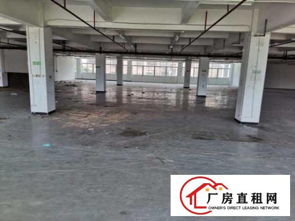  出租高埗冼沙莞潢中路二楼带电梯