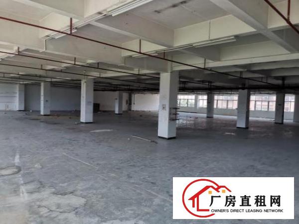  出租高埗冼沙莞潢中路二楼带电梯