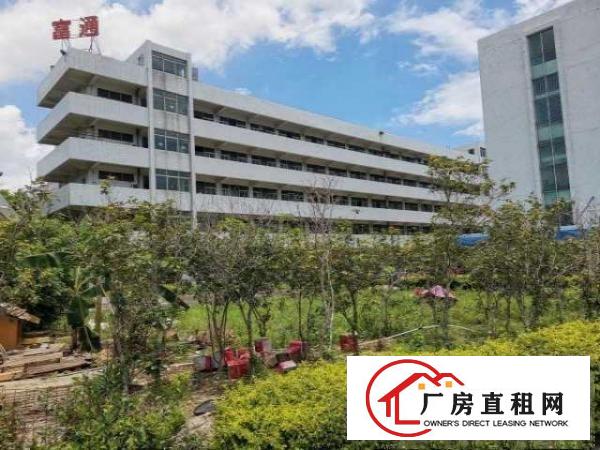  出租高埗冼沙莞潢中路二楼带电梯