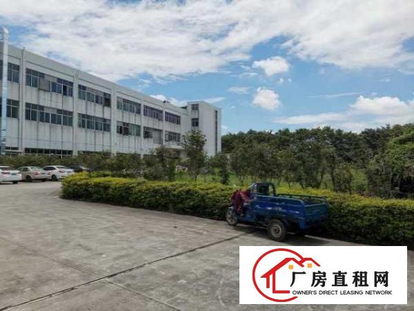  出租高埗冼沙莞潢中路二楼带电梯