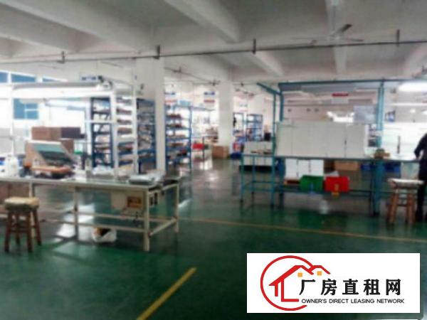  高埗标准一楼厂房2100平方出租招租适合各行业‌‌
