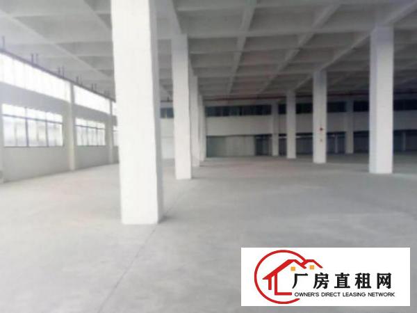  高埗标准一楼厂房2100平方出租招租适合各行业‌‌