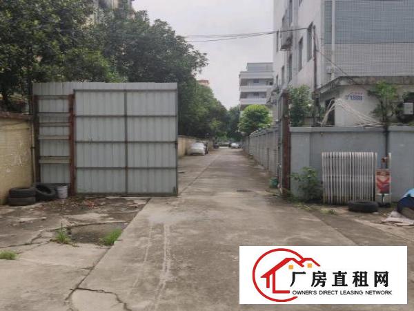  高埗物流城旁工业区二楼非中介