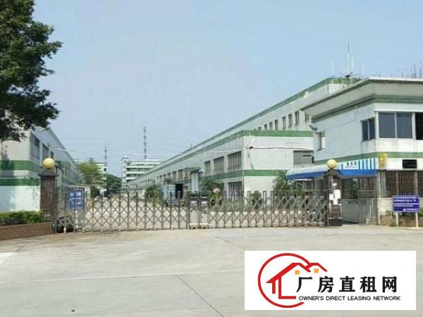  高埗新出砖墙到顶单一层滴水15米4500平方厂房带现行车出租