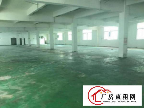  高埗新出标准厂房分租楼上1200平方带地坪漆出租