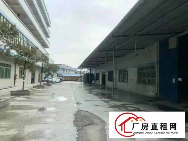  高埗独院单一层滴水11米高带独立办公楼豪华装修5000平方出