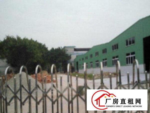  高埗环城路边独院单一层厂房6000平方出租带消防喷淋