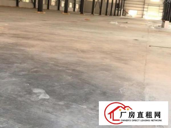  高埗百茂物流附近单一层钢架厂房2500平方出租带卸货平台