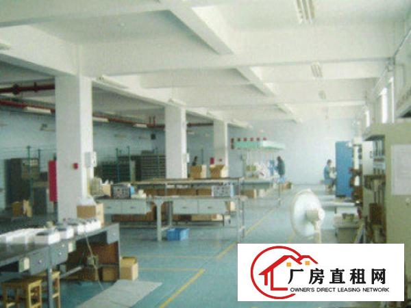  高埗标准一楼厂房3000平方米,层高8米,用电大可办环评