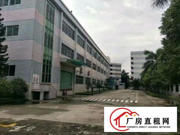  高埗标准一楼厂房3000平方米,层高8米,用电大可办环评