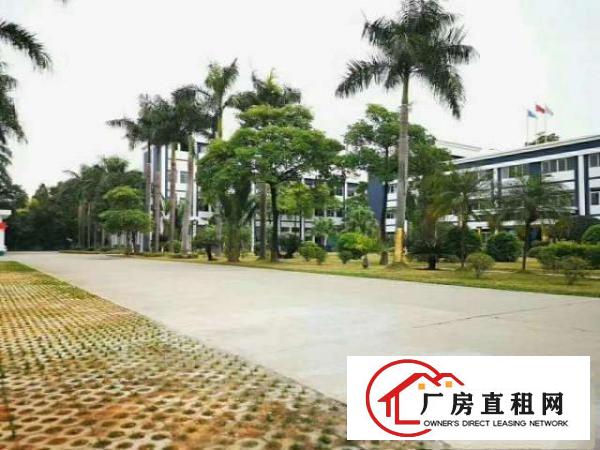  高埗花园式独院标准厂房总面积45000平方出租可分租