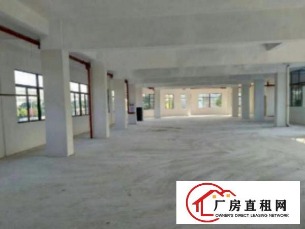  高埗标准厂房一楼1000平方，办公室3间，现成水电，宿舍按需