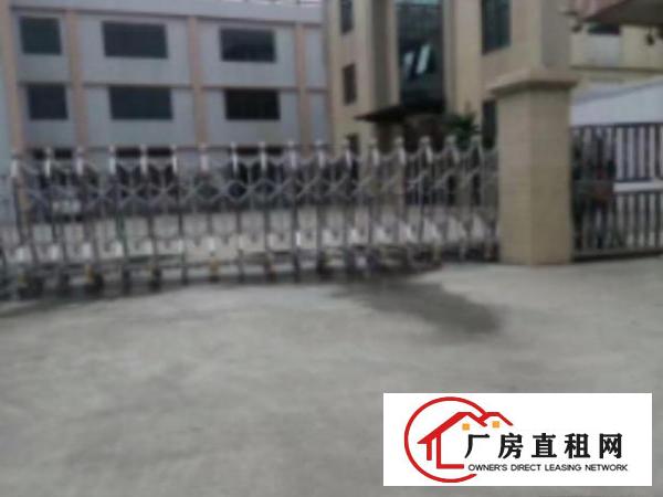  高埗标准厂房一楼1000平方，办公室3间，现成水电，宿舍按需