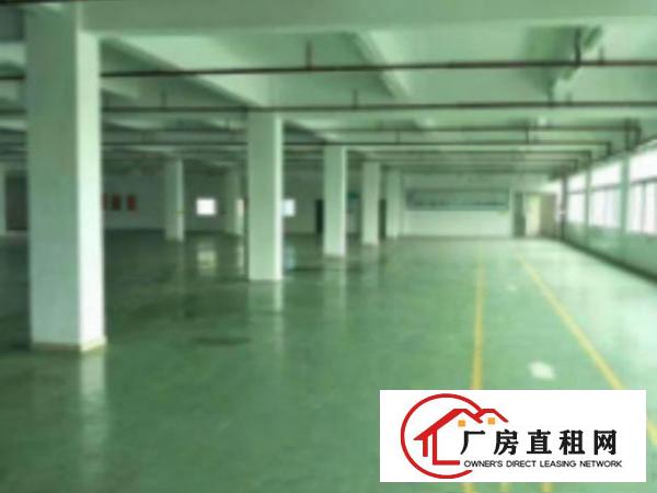  高埗标准厂房一楼1000平方，办公室3间，现成水电，宿舍按需