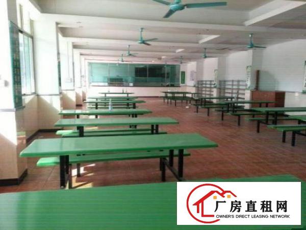  高埗带现成装修标准一楼500或1000平方招租现成水电，宿舍