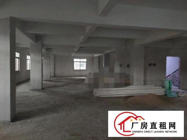  高埗冼沙厂房，汽车北站，百茂物流城旁