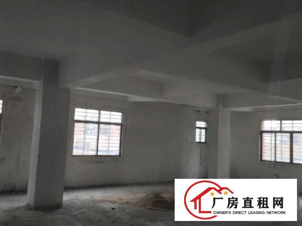  高埗冼沙厂房，汽车北站，百茂物流城旁