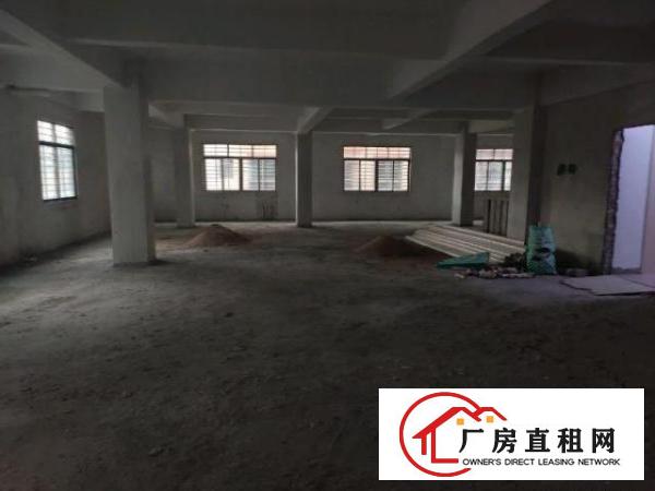  高埗冼沙厂房，汽车北站，百茂物流城旁