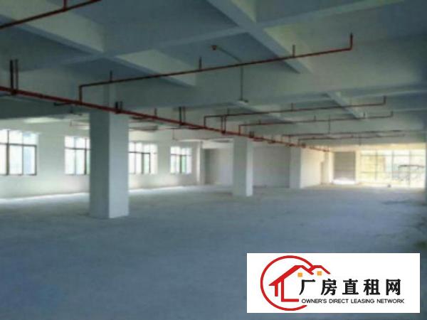  高埗工业区标准厂房分租2000平标准有电梯，宿舍按需，有精