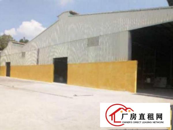  高埗标准独院500-20000平方厂房招租分租宿舍按需，电大