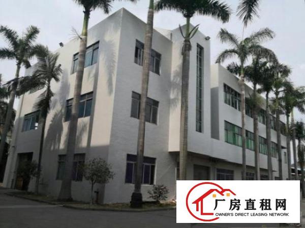  高埗标准独院500-20000平方厂房招租分租宿舍按需，电大