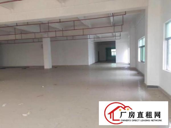  花园式标准厂房现在招租