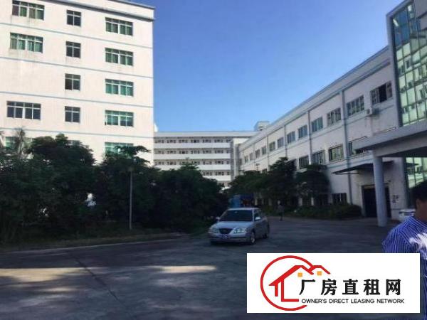  花园式标准厂房现在招租