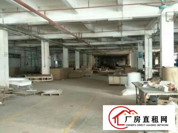  高埗单一层厂房2500平方，滴水8米高，办公楼2层300平方