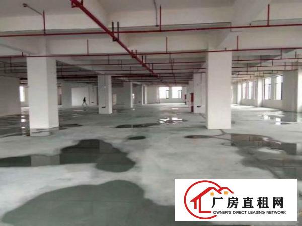  高埗单一层厂房2500平方，滴水8米高，办公楼2层300平方