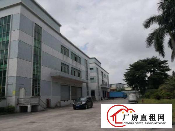  高埗镇环城路边超漂亮独门独院厂房出租