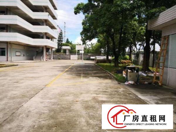  高埗镇环城路边超漂亮独门独院厂房出租