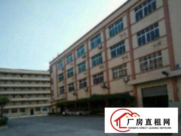  高埗独院标准一楼厂房500-5000平米带办公室装修低价适合