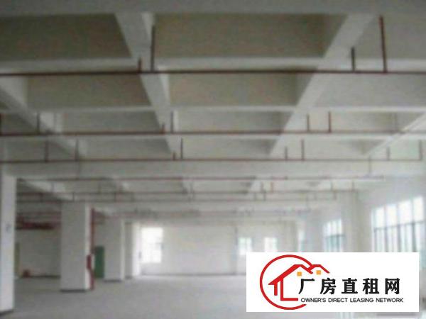  高埗独院标准一楼厂房500-5000平米带办公室装修低价适合