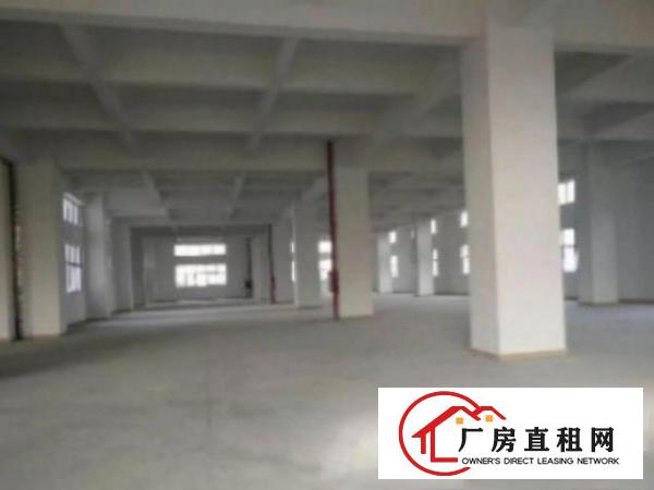  高埗标准一楼厂房500-5000平米低价招租可装行车,成熟工