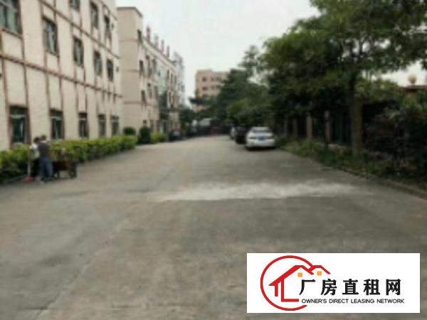  高埗标准一楼厂房500-5000平米低价招租可装行车,成熟工